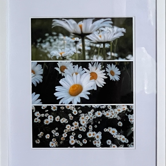 Daisy Collage 11x14 Custom Photo Print - Picture 2 of 2